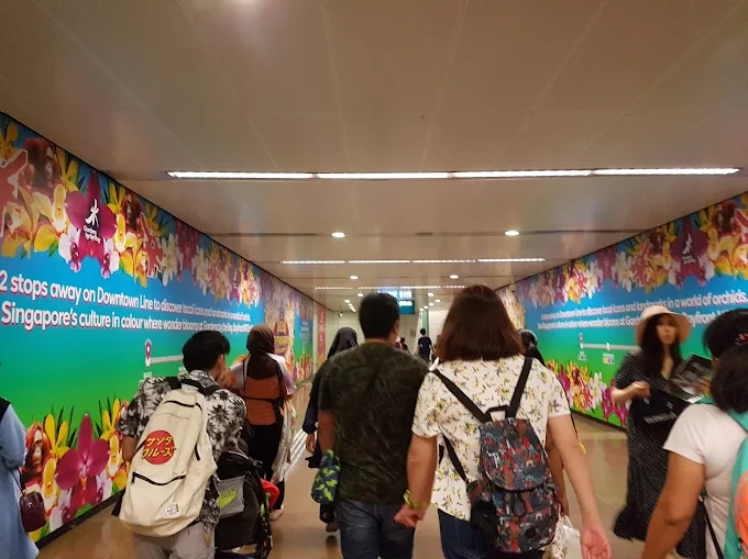 Passenger Usage Patterns The Quiet Pulse