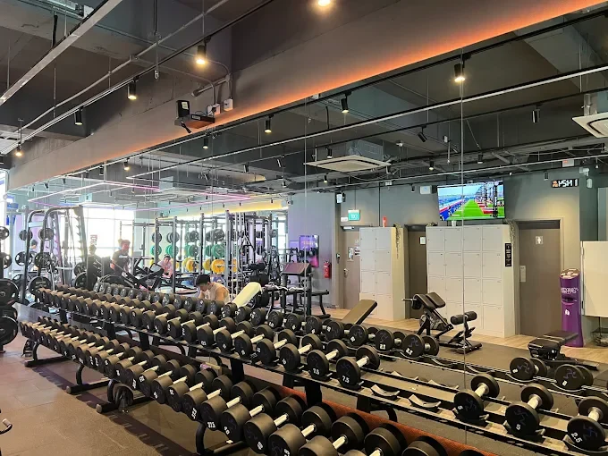 Anytime Fitness Bugis vs Other Gyms Nearby​