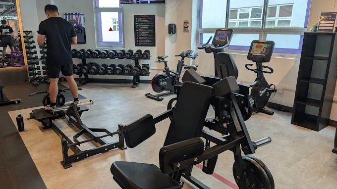 Equipment Quality & Workout Variety Is It Good for Serious Training