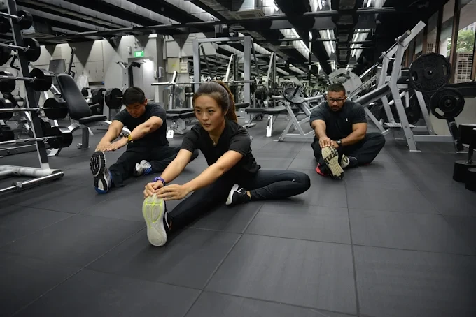 Equipment Quality & Workout Variety – Is It Good for Serious Training.