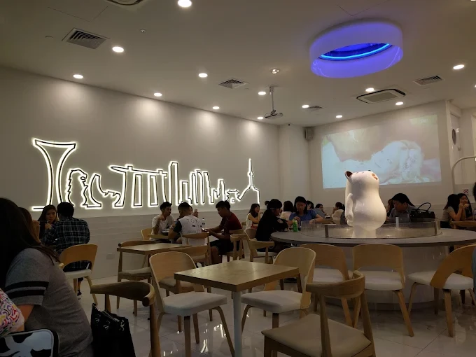 My Personal Visit & First Impressions​