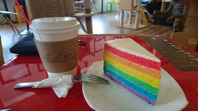 Tea & Other Drinks​