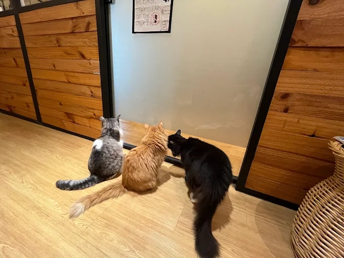 The Bugis Outlet What Makes It Special