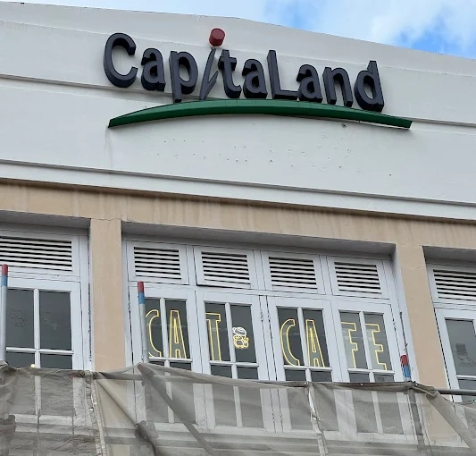 The Cat Cafe Bugis The Brand Story​