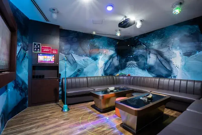 Types of Karaoke Room in Bugis​