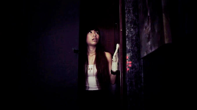 Survival & Outbreak Themes​