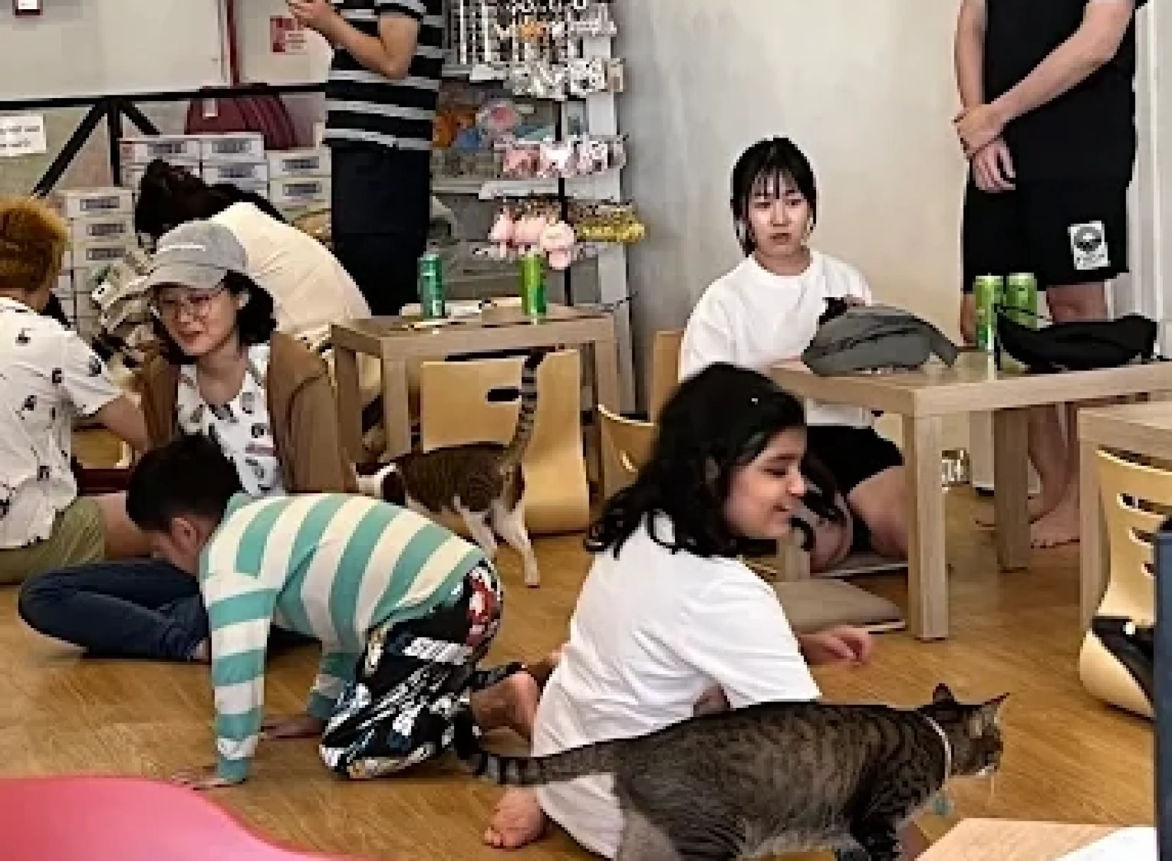 Is The Cat Cafe Bugis Good For…​